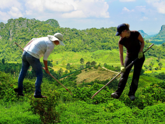 farm worker jobs